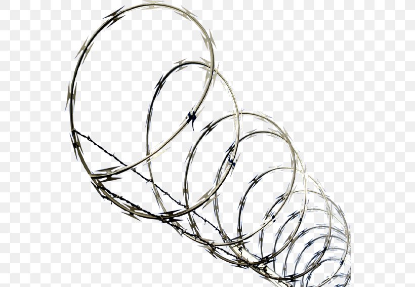 Barbed Wire Barbed Tape Concertina Wire, PNG, 567x567px, Barbed Wire, Barbed Tape, Black And White, Body Jewelry, Branch Download Free