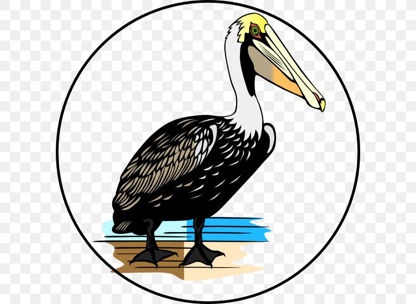 Bird American White Pelican Clip Art, PNG, 600x600px, Bird, American White Pelican, Artwork, Beak, Brown Pelican Download Free