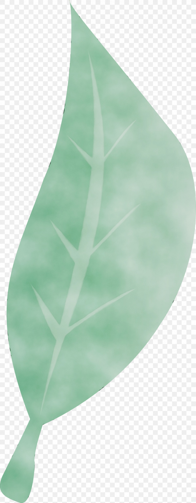 Leaf Green Science Plant Structure Plants, PNG, 1168x2999px, Watercolor, Biology, Green, Leaf, Paint Download Free