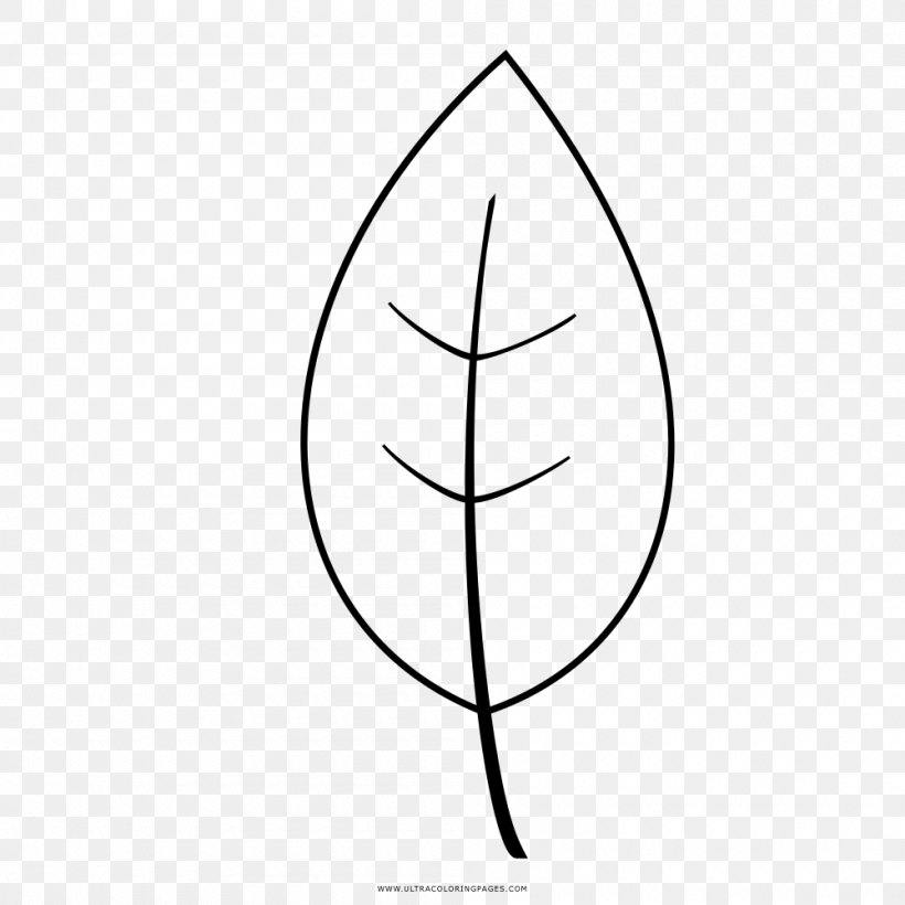 Line Leaf Angle, PNG, 1000x1000px, Leaf, Area, Black And White, Diagram, Drawing Download Free