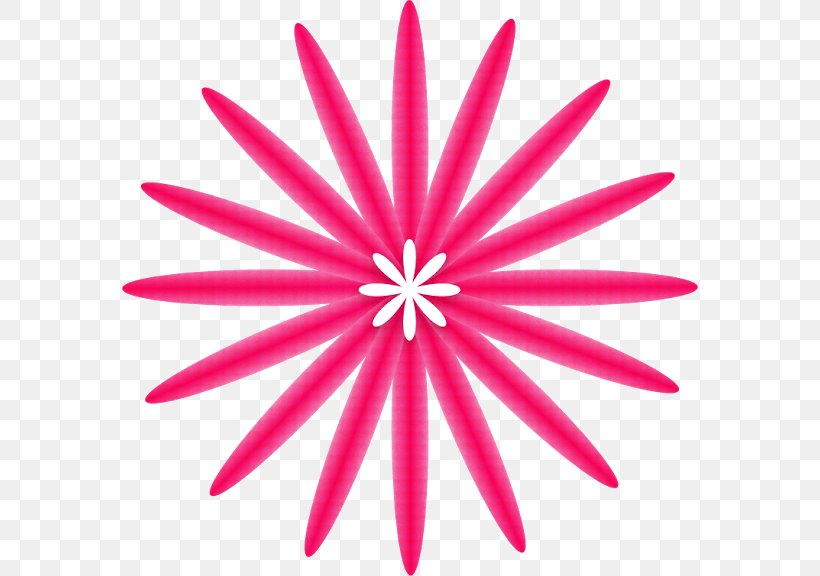 Petal Pink M Line Symmetry Cut Flowers, PNG, 576x576px, Petal, Cut Flowers, Flower, Magenta, Pink Download Free