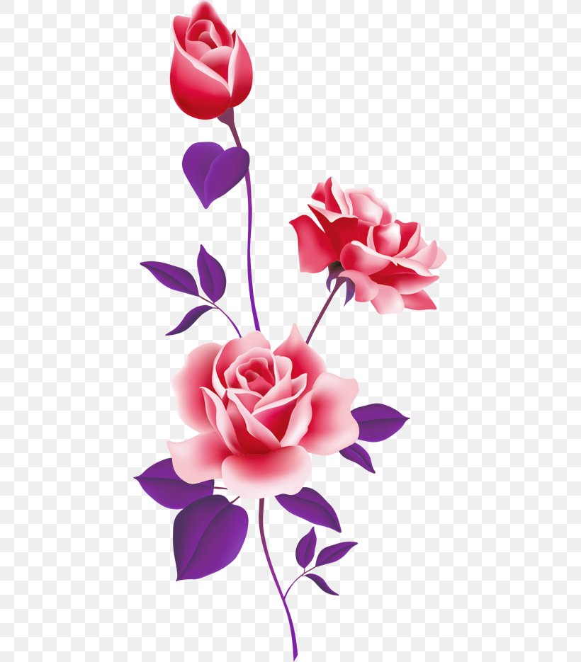 Rose Pink Free Content Clip Art, PNG, 443x935px, Rose, Art, Cut Flowers, Flora, Floral Design Download Free