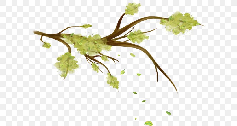 Twig Leaf Branch Clip Art, PNG, 600x436px, Twig, Branch, Color, Grapevine Family, Green Download Free