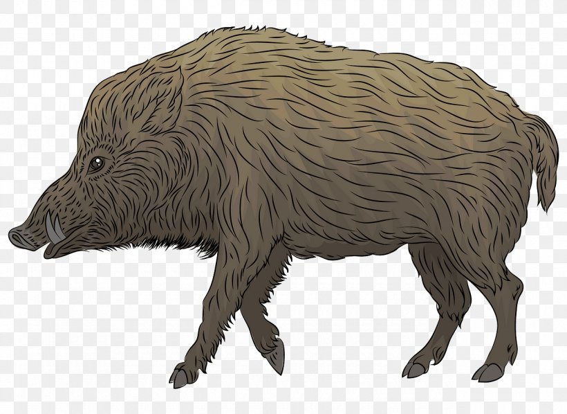 Animal Figure Boar Suidae Livestock Figurine, PNG, 1280x934px, Animal Figure, Boar, Figurine, Livestock, Peccary Download Free