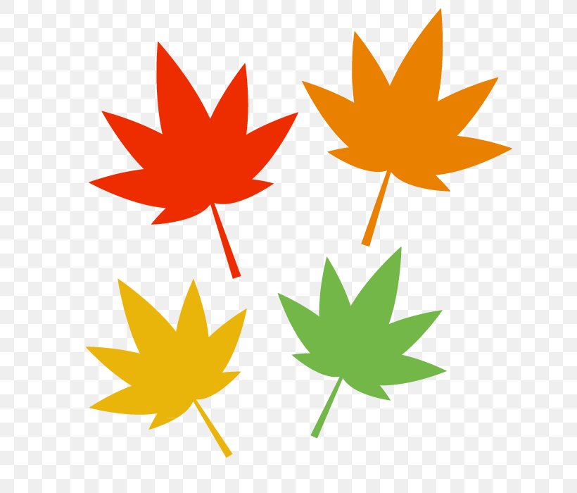 Autumn Leaf Color Illustration Vector Graphics, PNG, 700x700px, Autumn Leaf Color, Autumn, Collage, Flower, Flowering Plant Download Free