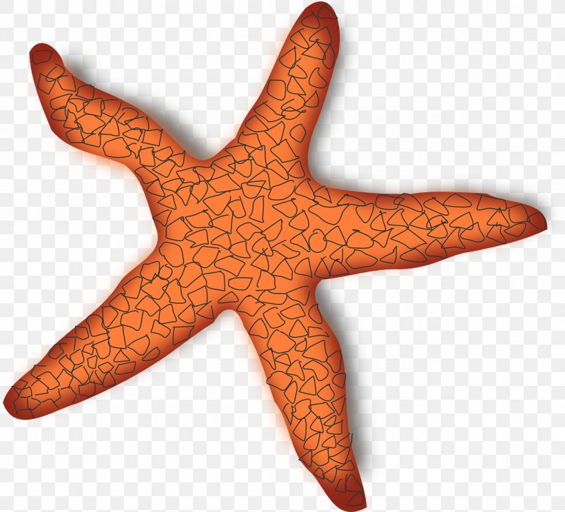 A Sea Star Starfish Clip Art, PNG, 1280x1161px, Sea Star, Animal, Cuteness, Echinoderm, Invertebrate Download Free