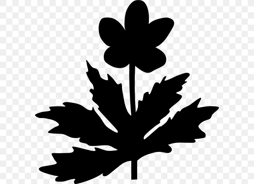 Maple Leaf Clip Art Silhouette Flower, PNG, 594x596px, Maple Leaf, Blackandwhite, Botany, Flower, Flowering Plant Download Free