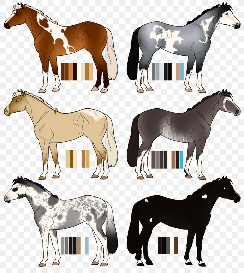 Mustang Irish Sport Horse Stallion Foal Mare, PNG, 1600x1791px, Mustang, Colt, Deviantart, Fauna, Foal Download Free