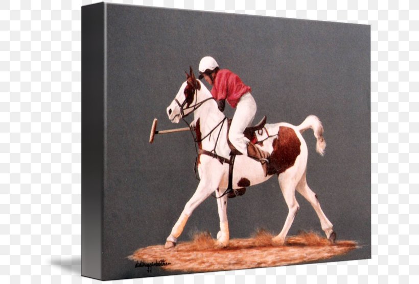 Stallion Bridle Jockey International, PNG, 650x557px, Stallion, Bridle, Horse, Horse Like Mammal, Jockey Download Free