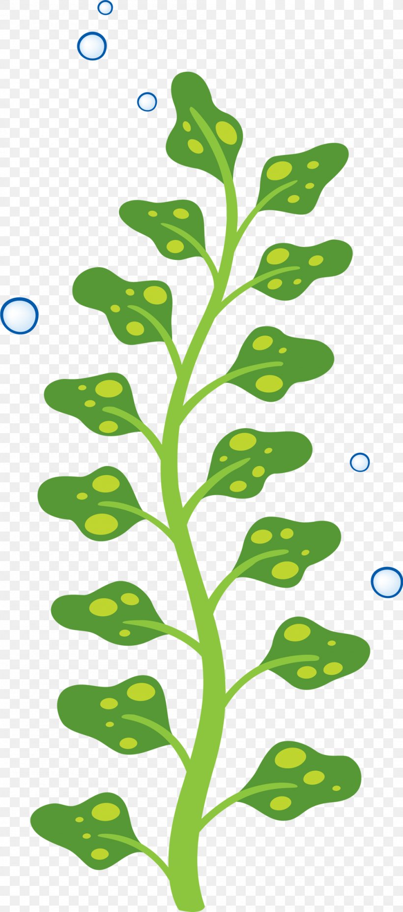 Sticker Child Parede Wall Algae, PNG, 1000x2260px, Sticker, Algae, Branch, Child, Decal Download Free