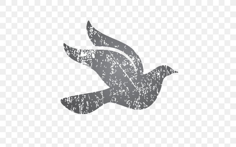 Dolphin Feather Beak White .cf, PNG, 512x512px, Dolphin, Beak, Bird, Black And White, Fauna Download Free