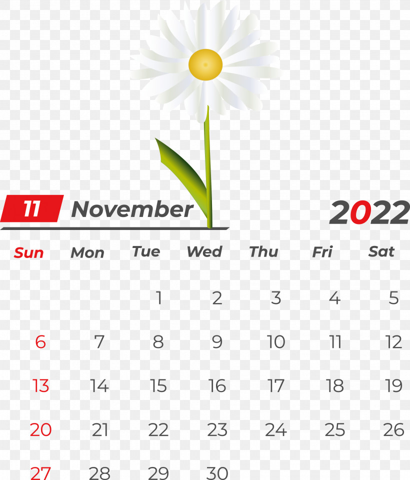 Flower Line Calendar Font Meter, PNG, 3872x4535px, Flower, Biology, Calendar, Geometry, Line Download Free
