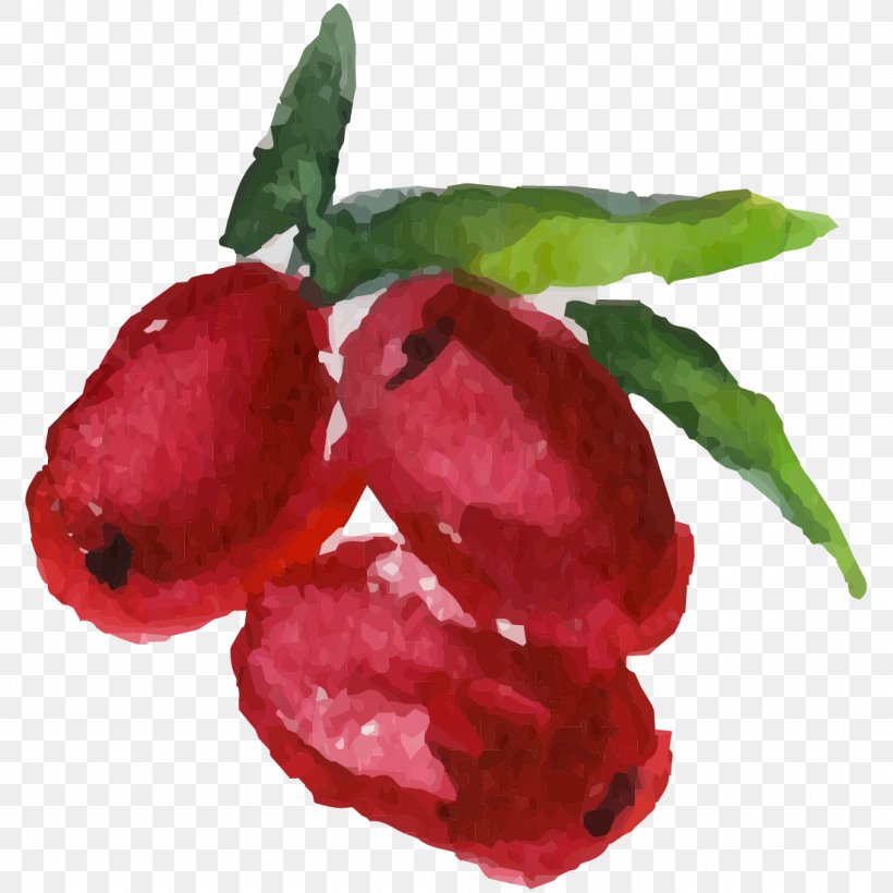 Fruit Watercolor Painting, PNG, 1100x1100px, Fruit, Food, Fruchtsaft, Painting, Plant Download Free