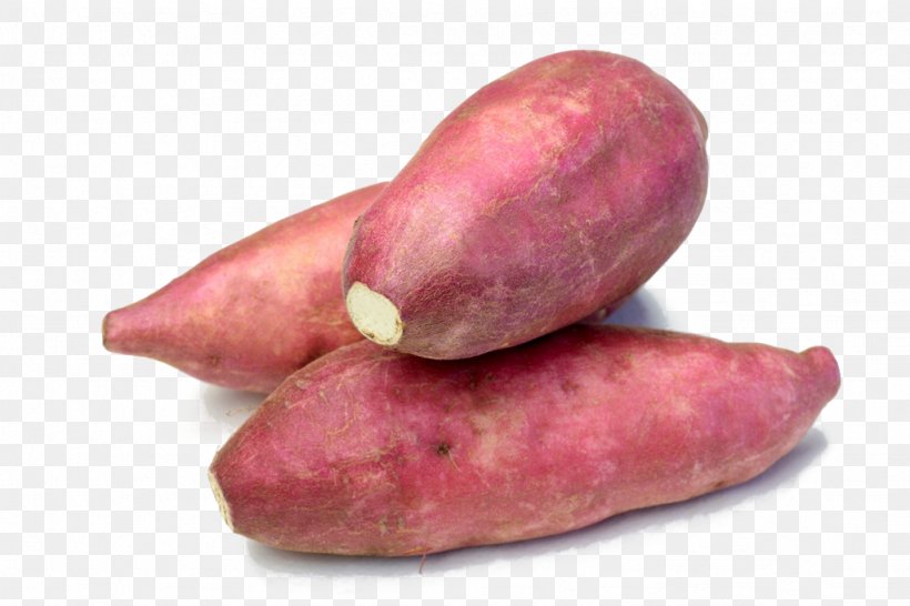 Sweet Potato Food Vegetable Tuber, PNG, 1024x682px, Sweet Potato, Cancer, Chinese Yam, Dioscorea Alata, Eating Download Free
