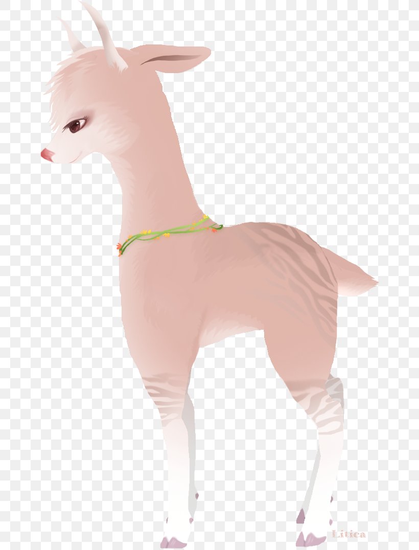 Italian Greyhound Dog Clothes Pink M Neck, PNG, 667x1076px, Italian Greyhound, Carnivoran, Clothing, Dog, Dog Clothes Download Free