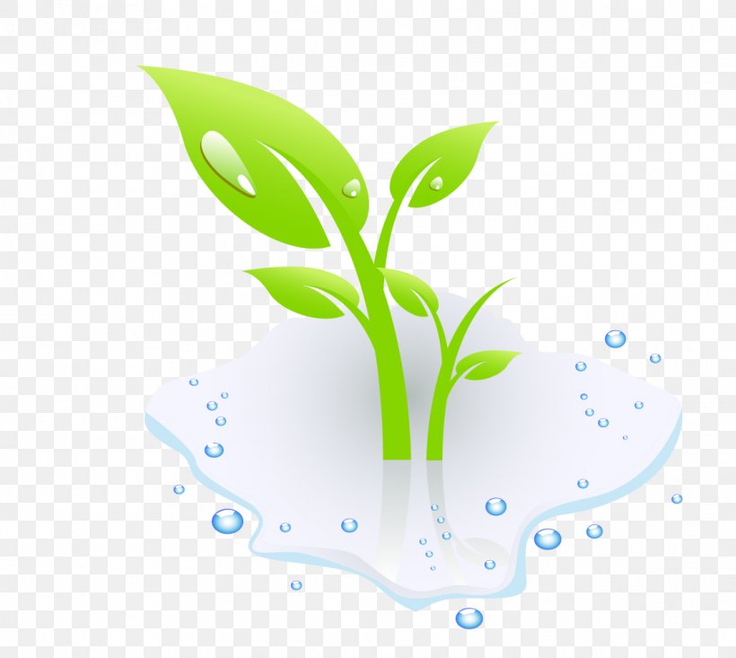 Aquatic Plant Euclidean Vector Clip Art, PNG, 1113x996px, Plant, Aquatic Plant, Brand, Dew, Drop Download Free