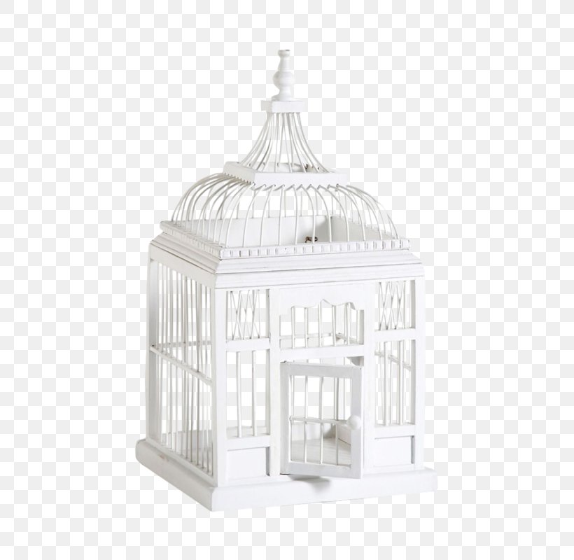 Birdcage Birdcage Lovebird White, PNG, 533x800px, Bird, Birdcage, Cage, Color, Coupon Download Free