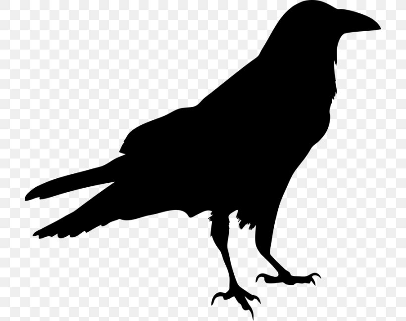 Blackbird Silhouette Clip Art, PNG, 720x648px, Bird, American Crow, Art, Beak, Black And White Download Free