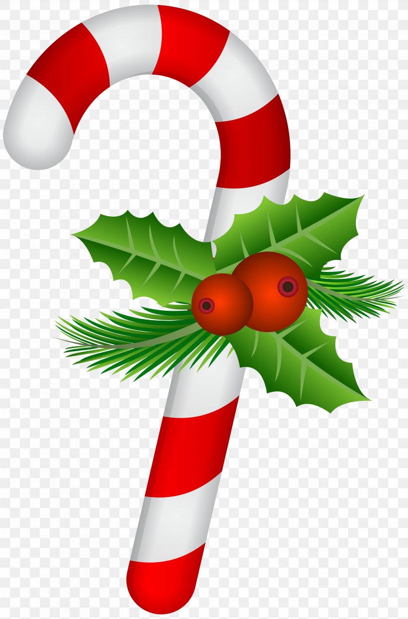 Candy Cane Christmas Clip Art, PNG, 5277x8000px, Candy Cane, Aquifoliaceae, Candy, Cane, Christmas Download Free