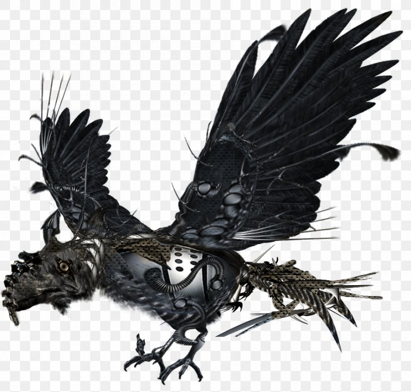 Eagle Cartoon, PNG, 900x859px, Eagle, Beak, Bird, Bird Of Prey, Crow Download Free