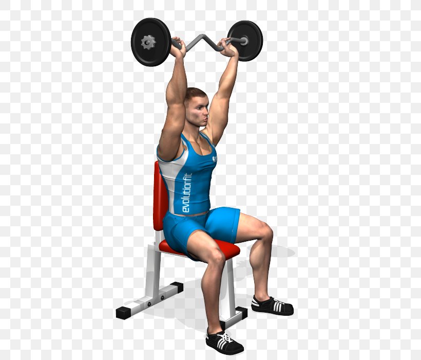 Weight Training Barbell Overhead Press Dip Lying Triceps Extensions, PNG, 700x700px, Watercolor, Cartoon, Flower, Frame, Heart Download Free