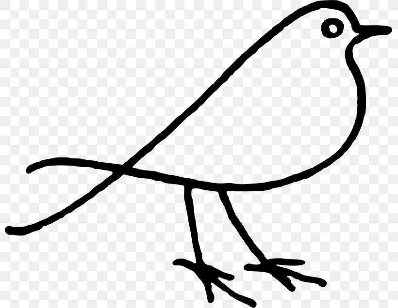 Bird Doodle Drawing Clip Art, PNG, 800x636px, Bird, Artwork, Beak, Black And White, Branch Download Free