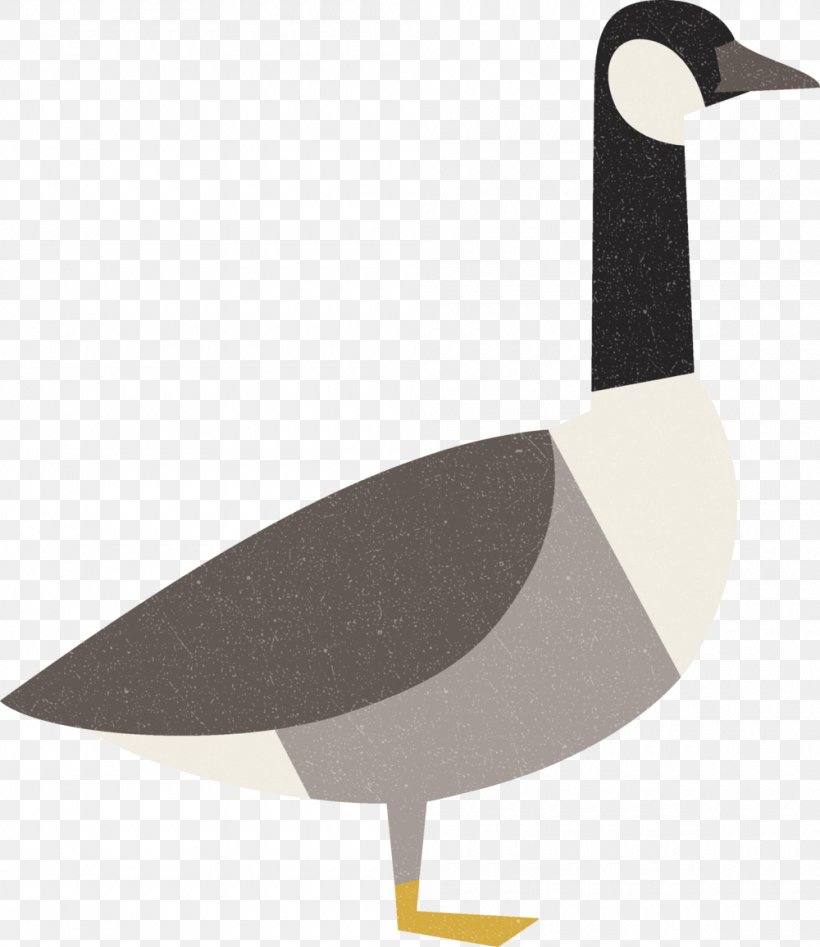 Goose Bird Duck Cygnini Anatidae, PNG, 1000x1156px, Goose, Anatidae, Animal, Beak, Bird Download Free