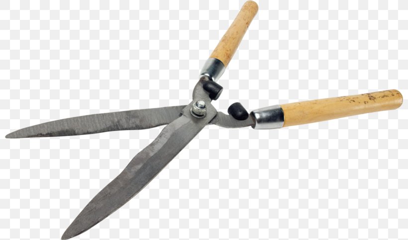 Pruning Shears Scissors Hedge Trimmer Garden, PNG, 800x483px, Pruning Shears, Blade, Garden, Gardening, Hardware Download Free