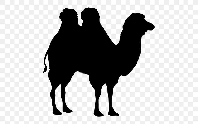 Bactrian Camel Dromedary Silhouette Shape, PNG, 512x512px, Bactrian Camel, Black And White, Camel, Camel Hair, Camel Like Mammal Download Free