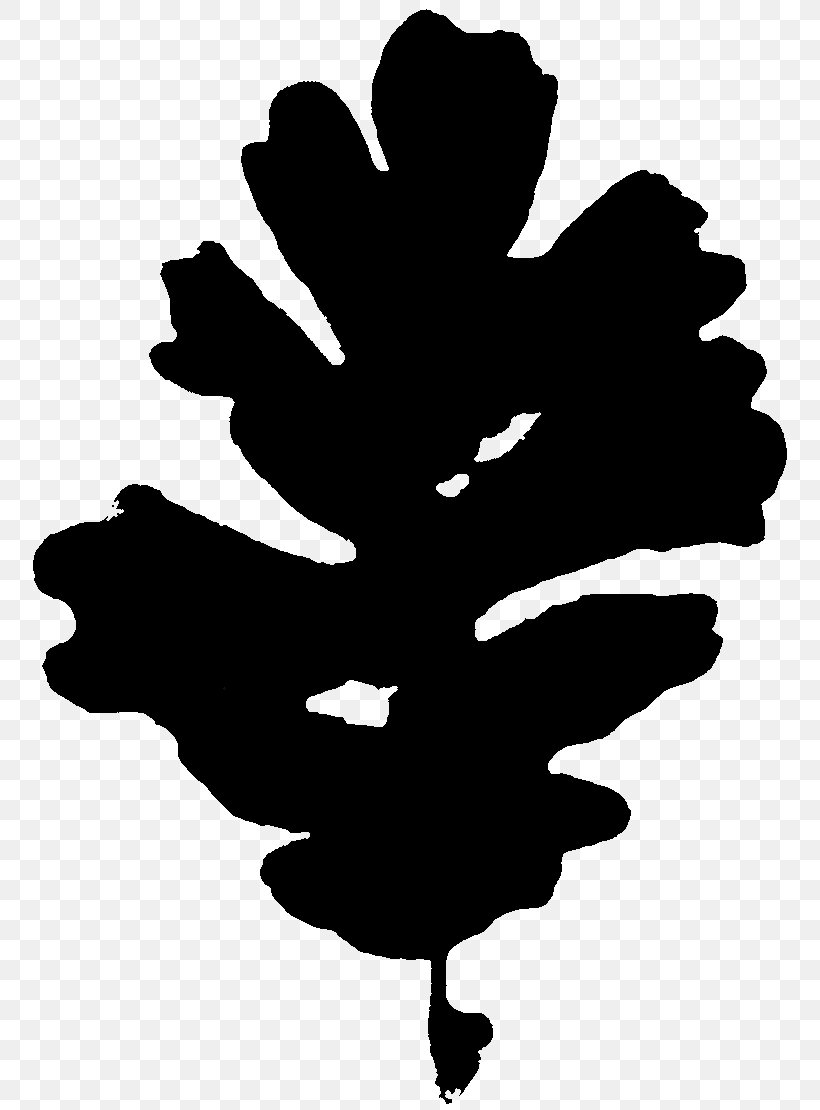 Tree Silhouette Font Leaf Flowering Plant, PNG, 764x1110px, Tree, Blackandwhite, Flowering Plant, Leaf, Pine Download Free