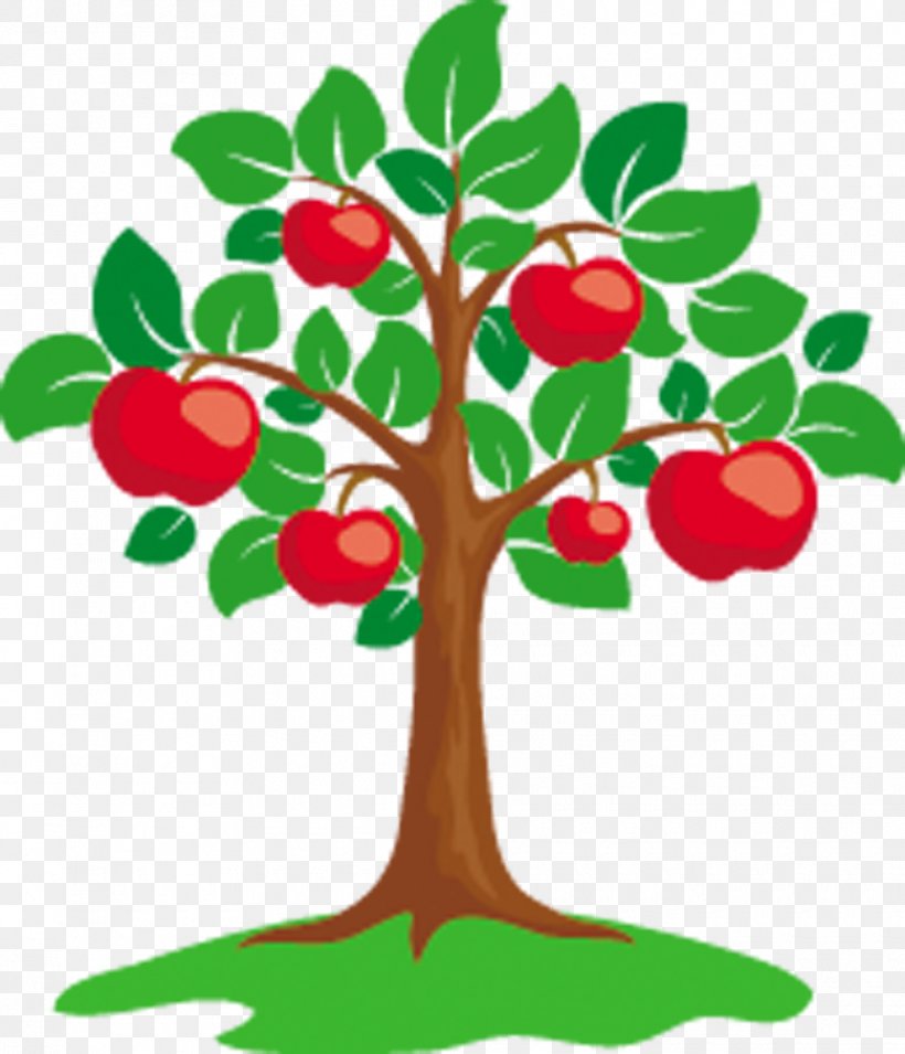 Apple Tree Clip Art, PNG, 990x1153px, Apple, Art, Artwork, Branch, Flower Download Free