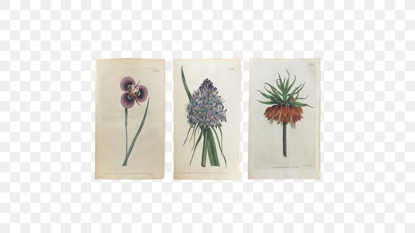 Art Painting Giclée Printmaking Crown Imperial, PNG, 736x460px, Art, Crown Imperial, Flora, Flower, Painting Download Free