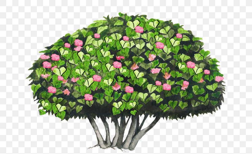 Cut Flowers Tree Shrub Dombeya Wallichii, PNG, 750x502px, Cut Flowers, Branch, Crown, Floral Design, Flower Download Free
