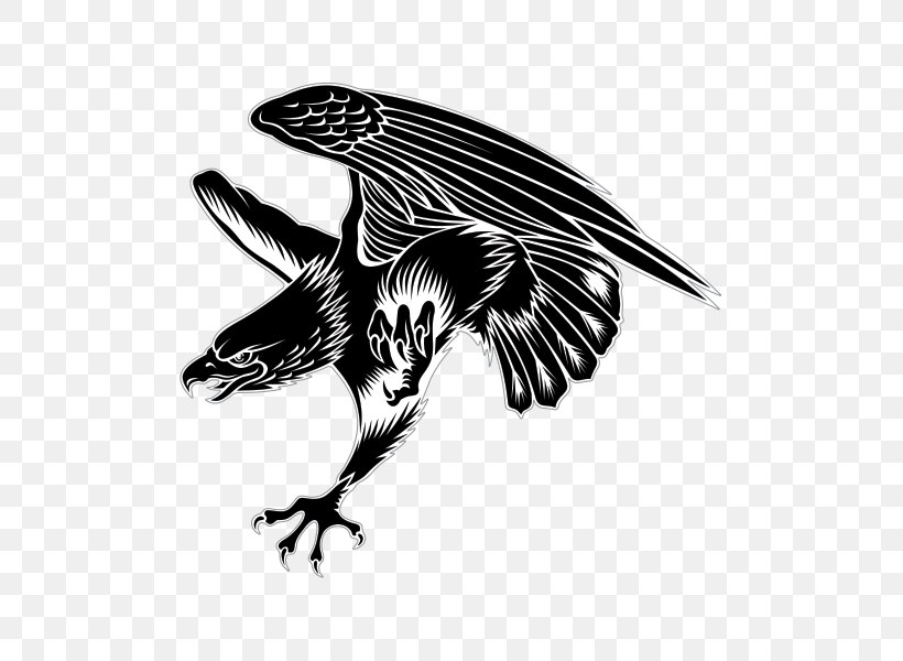 Bald Eagle Sticker Decal Hawk, PNG, 600x600px, Bald Eagle, Beak, Bird, Bird Of Prey, Black And White Download Free