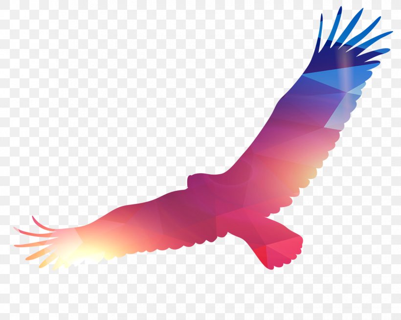Eagle Bird, PNG, 1832x1462px, Eagle, Beak, Bird, Bird Of Prey, Business Download Free