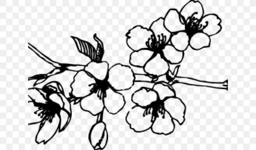Flower Leaf Plant Branch Black-and-white, PNG, 640x480px, Flower, Blackandwhite, Branch, Leaf, Line Art Download Free