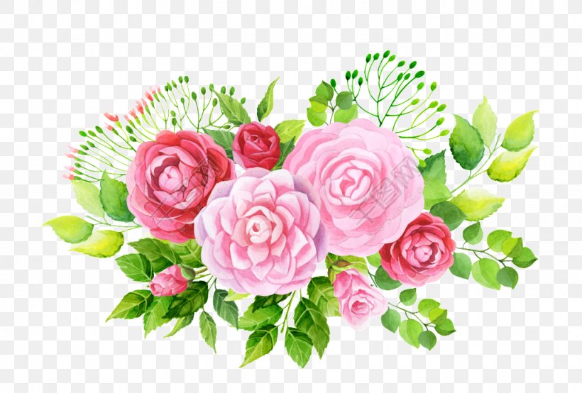 Garden Roses Vector Graphics Image, PNG, 1024x693px, Garden Roses, Cut Flowers, Flora, Floral Design, Floristry Download Free