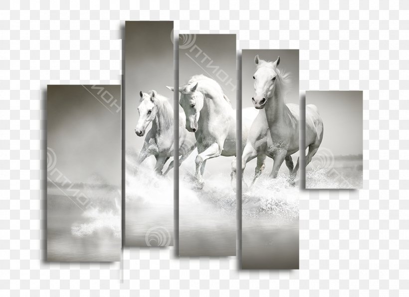 Stallion Friesian Horse American Quarter Horse Paper Mare, PNG, 1200x871px, Stallion, American Quarter Horse, Animal, Black And White, Brand Download Free