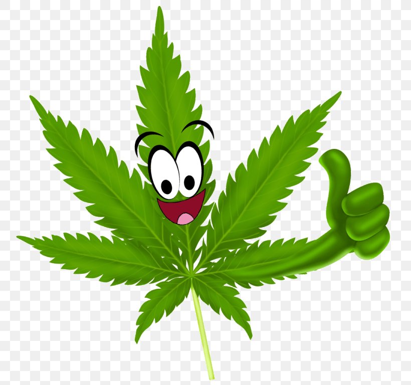 Cannabis Tea Medical Cannabis Legality Of Cannabis Cannabis Sativa, PNG, 768x768px, Cannabis Tea, Cannabis, Cannabis Cultivation, Cannabis Sativa, Drug Download Free