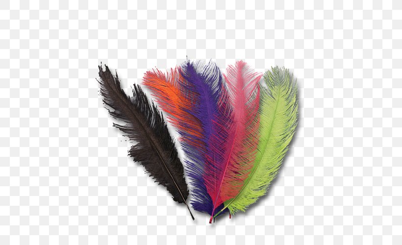 Feather, PNG, 500x500px, Feather, Quill, Wing Download Free
