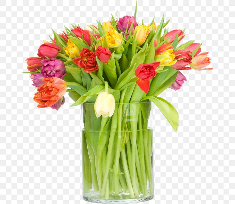 Indira Gandhi Memorial Tulip Garden Flower Bouquet Stock Photography, PNG, 670x713px, Tulip, Alstroemeriaceae, Cut Flowers, Daffodil, Floral Design Download Free