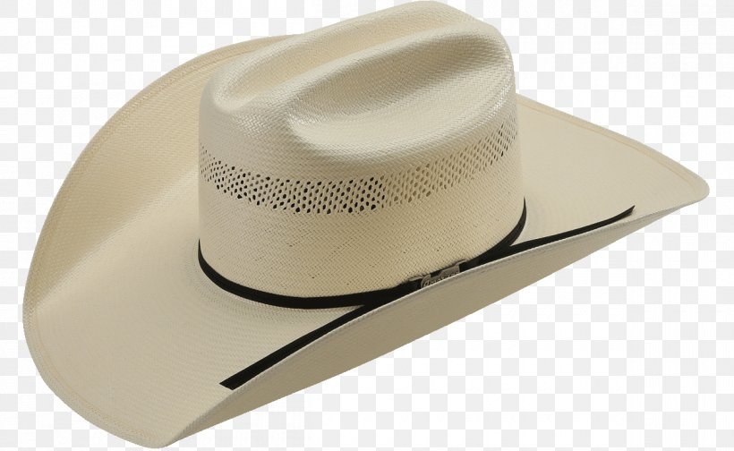 Straw Hat, PNG, 1200x738px, Hat, American Hat Company, Americans, Color, Fashion Accessory Download Free