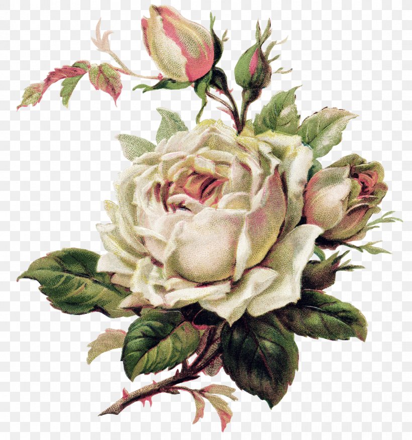 Vintage Roses: Beautiful Varieties For Home And Garden Flower Tattoo Pink, PNG, 1097x1172px, Rose, Artificial Flower, Color, Cut Flowers, Decoupage Download Free