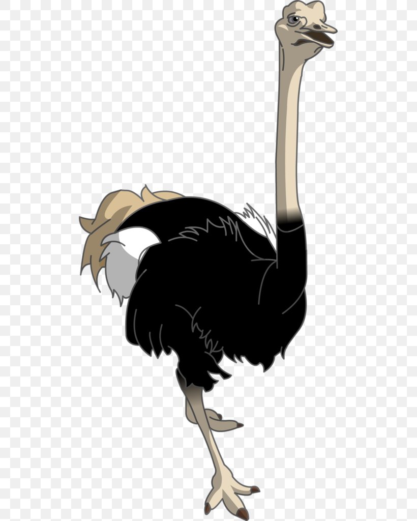 Common Ostrich Cartoon Drawing Image, PNG, 509x1024px, Common Ostrich, Animal, Beak, Bird, Black Download Free