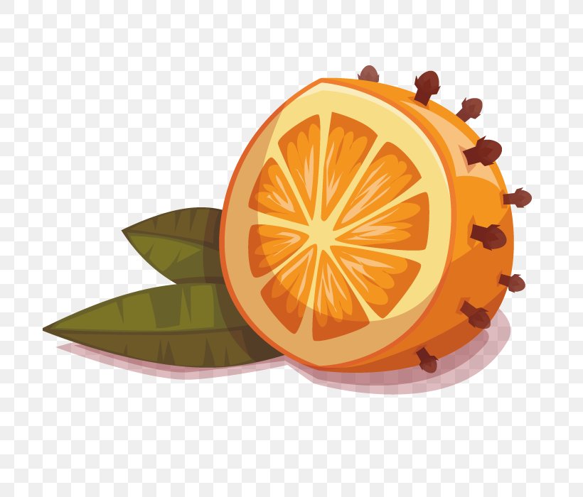 Mandarin Orange Fruit Drawing, PNG, 700x700px, Orange, Artworks, Citrus, Drawing, Food Download Free