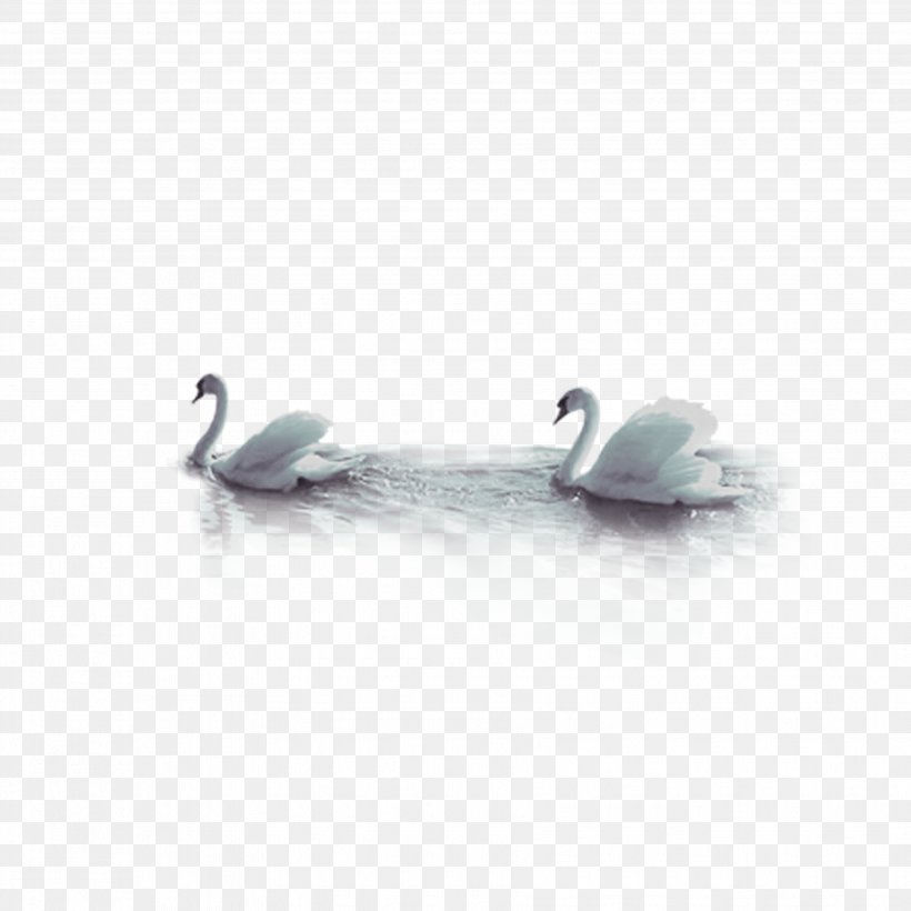 Cygnini Goose Bird, PNG, 3508x3508px, Cygnini, Bird, Body Jewelry, Duck, Ducks Geese And Swans Download Free