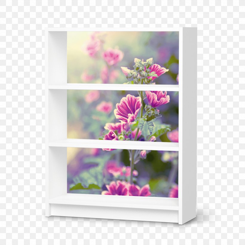 Floral Design Billy Hylla IKEA Furniture, PNG, 1500x1500px, Floral Design, Aloe Vera, Billy, Creatisto, Cut Flowers Download Free