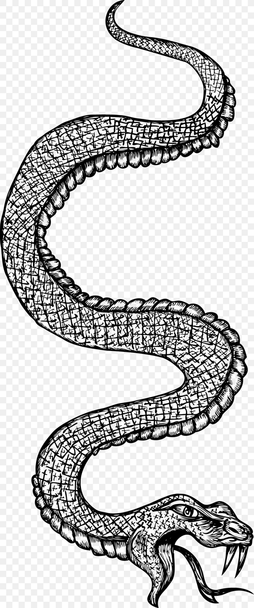 Snake Black And White Line Art, PNG, 1025x2450px, Snake, Art, Black And White, Body Jewelry, Drawing Download Free