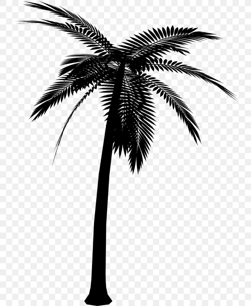 Asian Palmyra Palm Silhouette Vector Graphics Image, PNG, 731x1000px, Asian Palmyra Palm, Arecales, Attalea Speciosa, Blackandwhite, Borassus Flabellifer Download Free