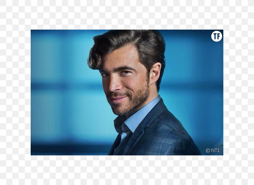 Bachelor, Le Gentleman Célibataire Bachelor's Degree Reality Television Streaming Media, PNG, 622x600px, 2016, Reality Television, Actor, Businessperson, Chin Download Free
